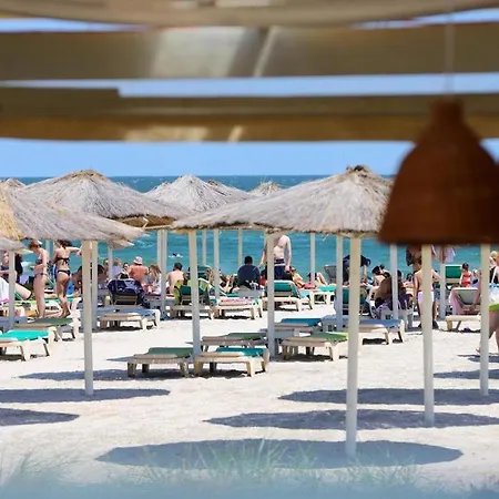 Apartman Sims By Alz